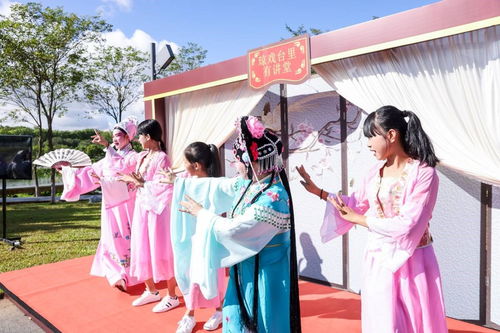 海南舉辦新時代文明實踐志愿服務項目展示活動，數字創意賦能志愿服務新風尚